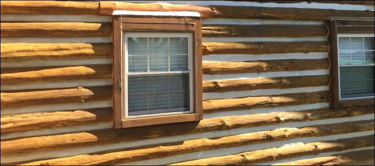 Log Home Whole Log Replacement  Bristol City, Virginia